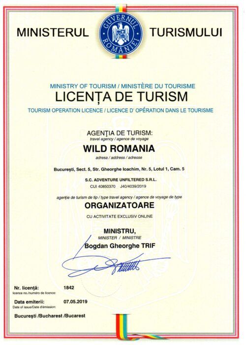 AU_LICENTA-TURISM-1-scaled AU_LICENTA-TURISM-1-scaled