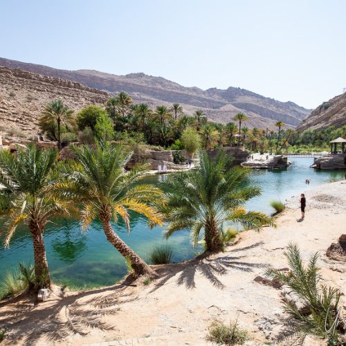 000025-The-Oasis_7402pp_w1200_h799-500x500 000025-The-Oasis_7402pp_w1200_h799-500x500