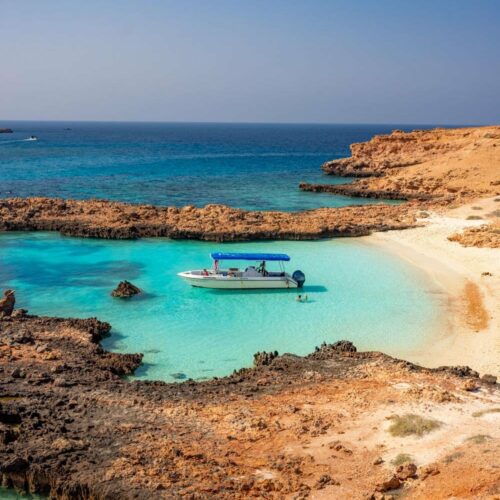 0K3A2384-2-500x500-1 0K3A2384-2-500x500-1