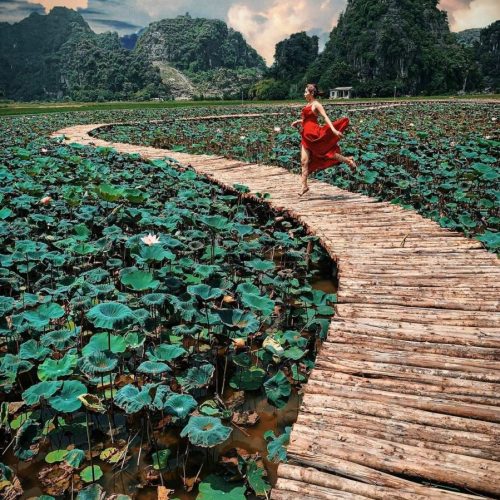 0d57a967e08e0851e89b4525cf04c1dc-500x500 0d57a967e08e0851e89b4525cf04c1dc-500x500