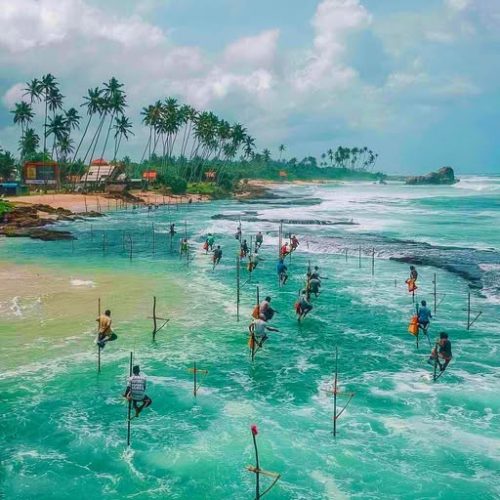 118110874_4229579000450873_4970925852458101555_n-500x500 118110874_4229579000450873_4970925852458101555_n-500x500