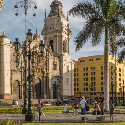 11A803A8-0C98-4F39-84A365C46881294C-500x500 11A803A8-0C98-4F39-84A365C46881294C-500x500