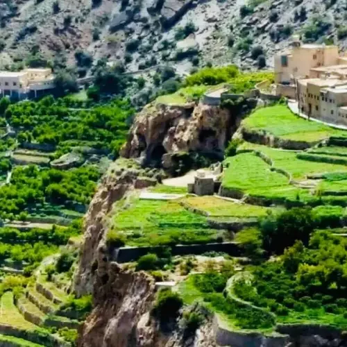 122323998_3482733738416591_330559362886423776_n-500x500 122323998_3482733738416591_330559362886423776_n-500x500