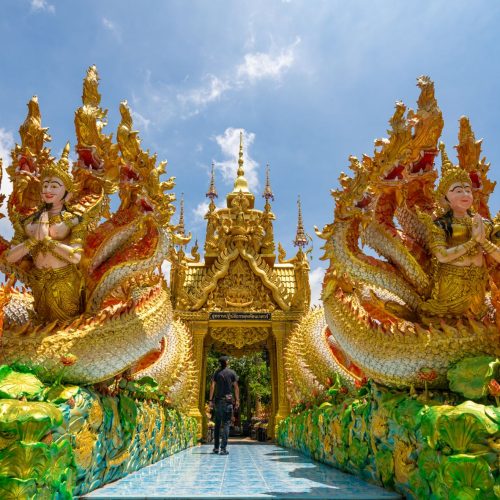 12ce009b-c462-4be3-afbd-d2c256bd38eb-500x500 12ce009b-c462-4be3-afbd-d2c256bd38eb-500x500