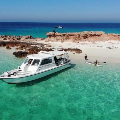 145-500x500-1 145-500x500-1