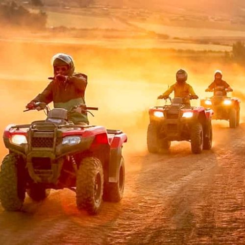 146-7-500x500 146-7-500x500