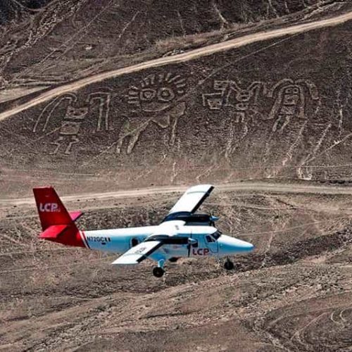 146-8-500x500 146-8-500x500