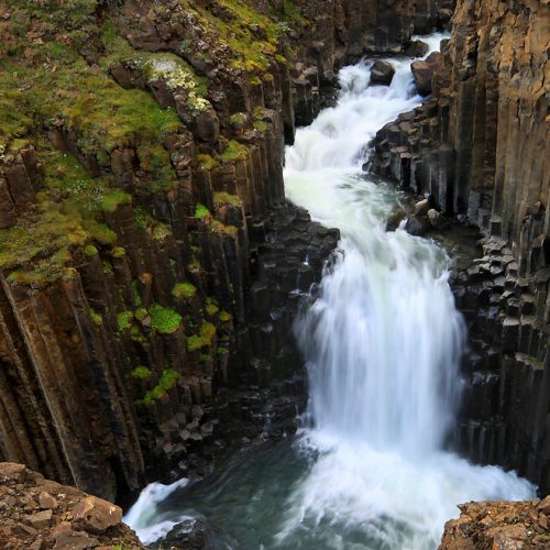 14809635141_af0a410dfc_b-1-500x500 14809635141_af0a410dfc_b-1-500x500