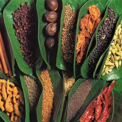 158914282_4076745949004839_5012934902158963921_n-500x500 158914282_4076745949004839_5012934902158963921_n-500x500