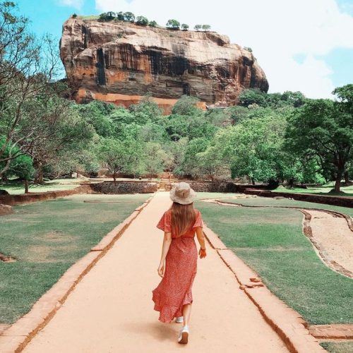 2023d356d804ba955427f2c1d5f43751-500x500 2023d356d804ba955427f2c1d5f43751-500x500