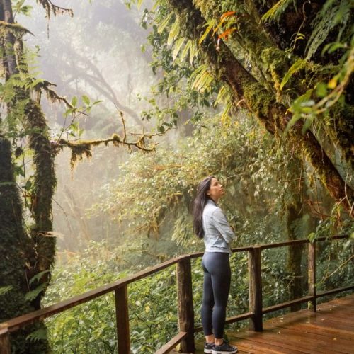 2bd161e926fa07dc1e37327fcfcb3038-500x500 2bd161e926fa07dc1e37327fcfcb3038-500x500