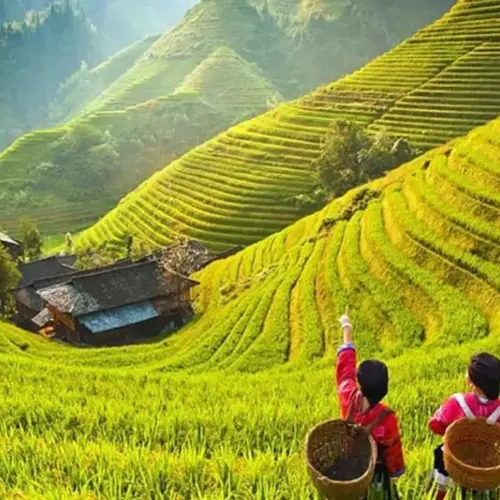 2ffb077d-c19e-433b-99a3-eee1ad36bc2d_3-day-private-tour-from-chengdu-by-air-guilin-longji-rice-terrace-and-yangshuo-xlarge-1024x683 2ffb077d-c19e-433b-99a3-eee1ad36bc2d_3-day-private-tour-from-chengdu-by-air-guilin-longji-rice-terrace-and-yangshuo-xlarge-1024x683