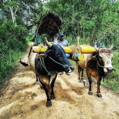 337419452_594316969396369_6657778293055097498_n-500x500-1 337419452_594316969396369_6657778293055097498_n-500x500-1