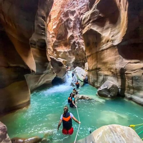 344436677_774889610951031_1217128889403933899_n-500x500 344436677_774889610951031_1217128889403933899_n-500x500