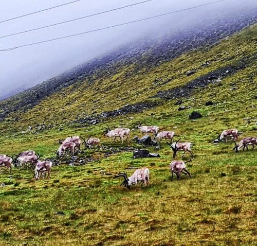 379411077_6527283304051212_6961927612342707693_n-1-1024x478 379411077_6527283304051212_6961927612342707693_n-1-1024x478