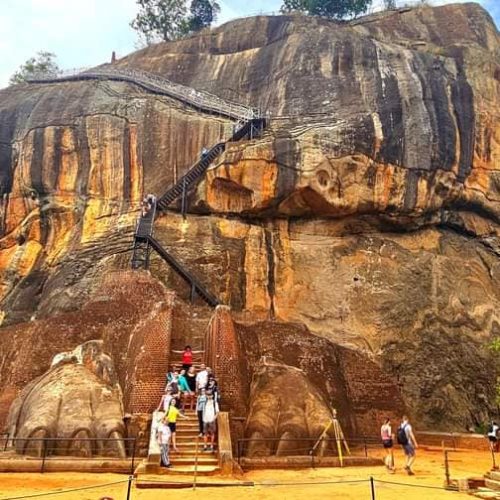 387842370_290136503959402_7572505438512581425_n-1-500x500-1 387842370_290136503959402_7572505438512581425_n-1-500x500-1