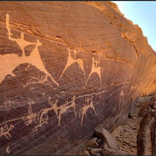 3_1_copy-500x500 3_1_copy-500x500