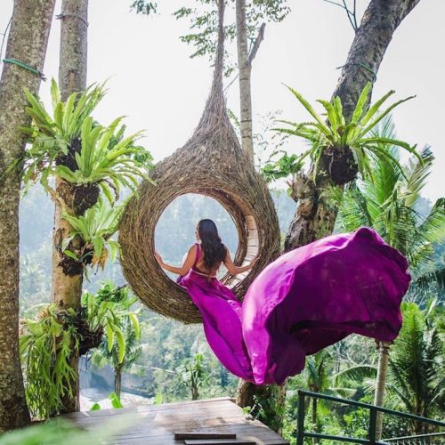 449F1576-A339-4E96-9B1F-13796E4B4F45-500x500 449F1576-A339-4E96-9B1F-13796E4B4F45-500x500