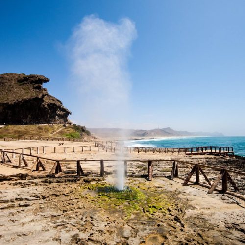 464370435_3209308039205507_3077175773123089726_n-500x500 464370435_3209308039205507_3077175773123089726_n-500x500