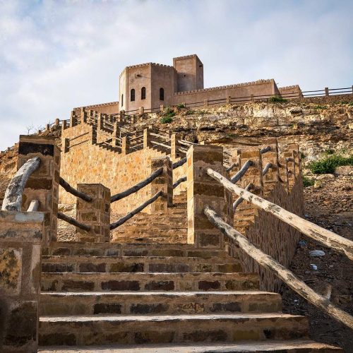 469591891_9060867287305283_8369990104446793124_n-500x500 469591891_9060867287305283_8369990104446793124_n-500x500