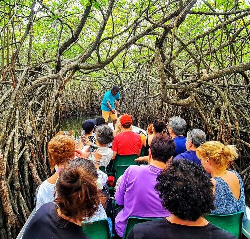 475780618_602053562462772_3064198365231950434_n-1024x479 475780618_602053562462772_3064198365231950434_n-1024x479