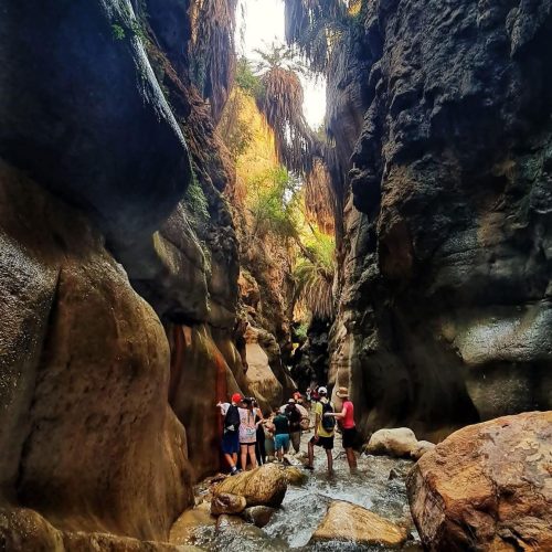 478532110_1050687423822010_1555997401123995349_n-500x500 478532110_1050687423822010_1555997401123995349_n-500x500