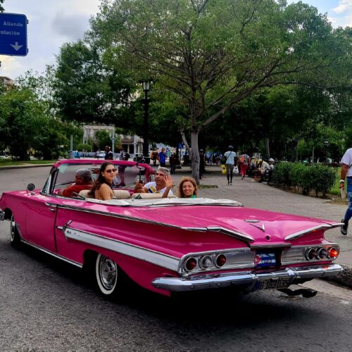 480514642_612971754793284_8485736774004154293_n 480514642_612971754793284_8485736774004154293_n