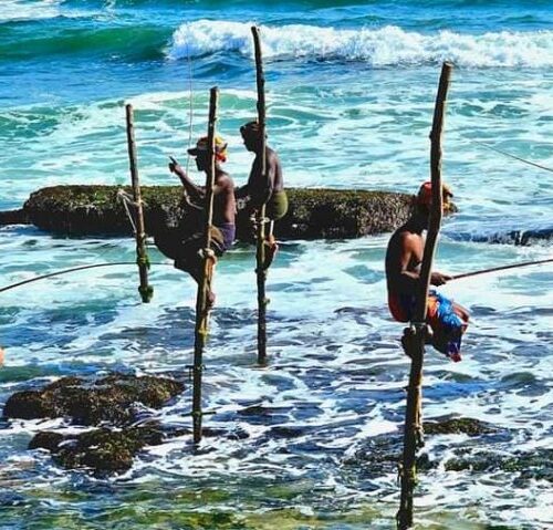 481053492_632088253097557_1741191163986434124_n-1024x479 481053492_632088253097557_1741191163986434124_n-1024x479