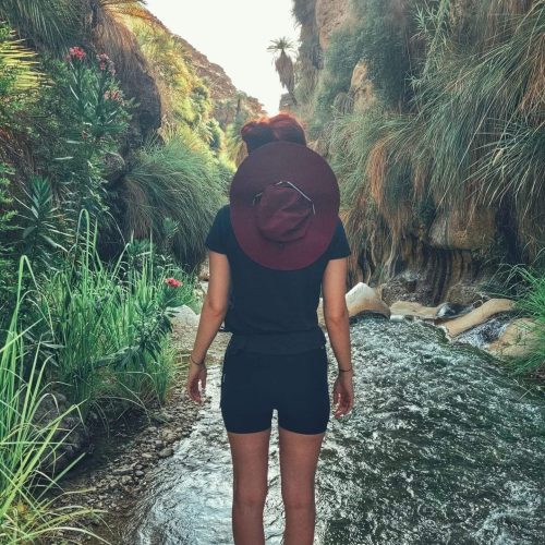 486405442_9377075085738672_4362802834488217282_n-500x500 486405442_9377075085738672_4362802834488217282_n-500x500