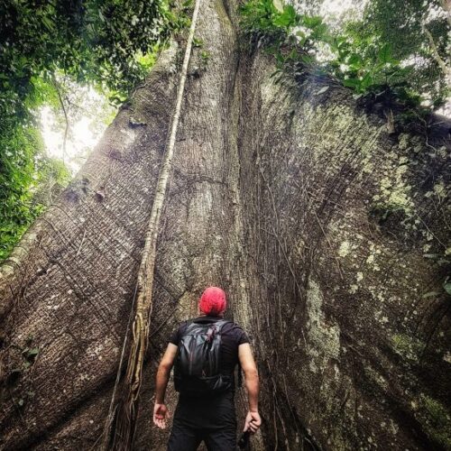 491724702_9524610144318498_782729416504436420_n-577x1024 491724702_9524610144318498_782729416504436420_n-577x1024