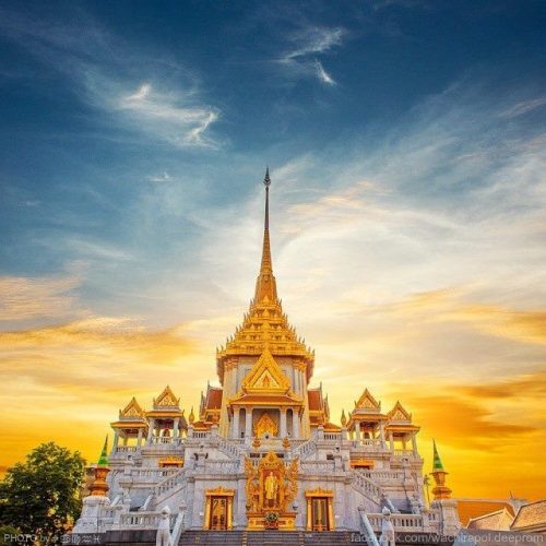 497606eeff7573c6f3582f0f78a20341-500x500 497606eeff7573c6f3582f0f78a20341-500x500