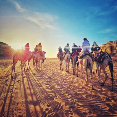 511314186_10091009361011904_4367902819987838493_n 511314186_10091009361011904_4367902819987838493_n