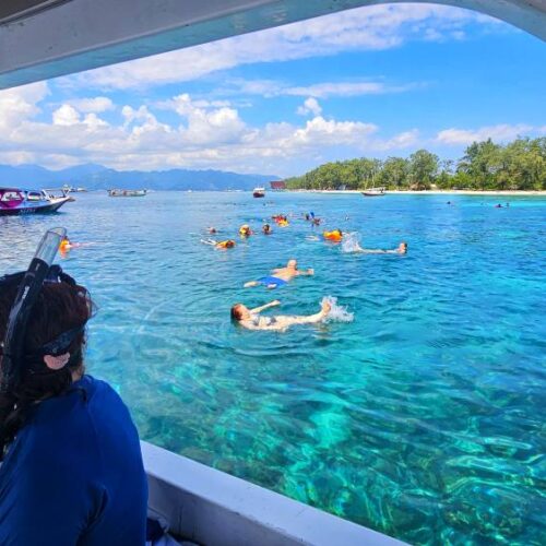 512867413_10095029990609841_506351977213417971_n-1 512867413_10095029990609841_506351977213417971_n-1