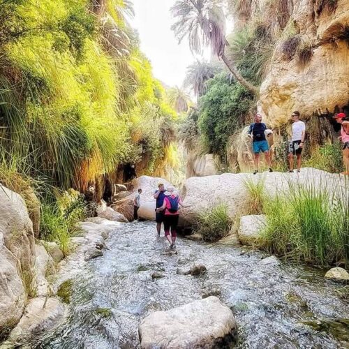 513169498_10090759224370251_6821700859770995056_n 513169498_10090759224370251_6821700859770995056_n