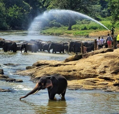 515367332_10161914446624862_3220060201460573517_n-1024x478 515367332_10161914446624862_3220060201460573517_n-1024x478