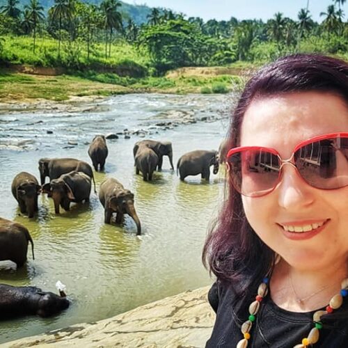 515449818_10161914446229862_4292286865947199237_n (1) 515449818_10161914446229862_4292286865947199237_n (1)