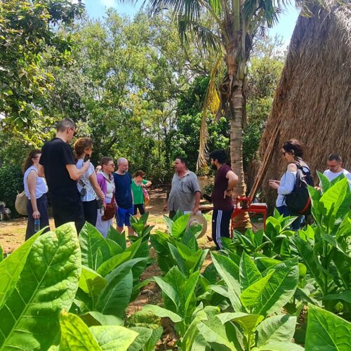 518311915_10171908879840582_5166382296822078666_n 518311915_10171908879840582_5166382296822078666_n