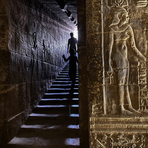 52747513143_f9218f24ee_b-1-500x500 52747513143_f9218f24ee_b-1-500x500