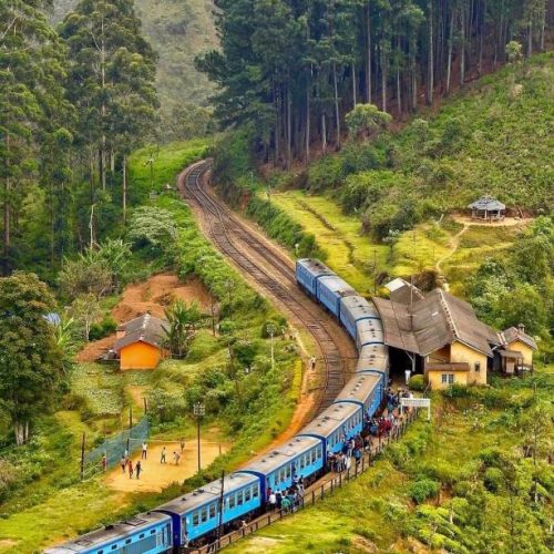 558070990-500x500 558070990-500x500