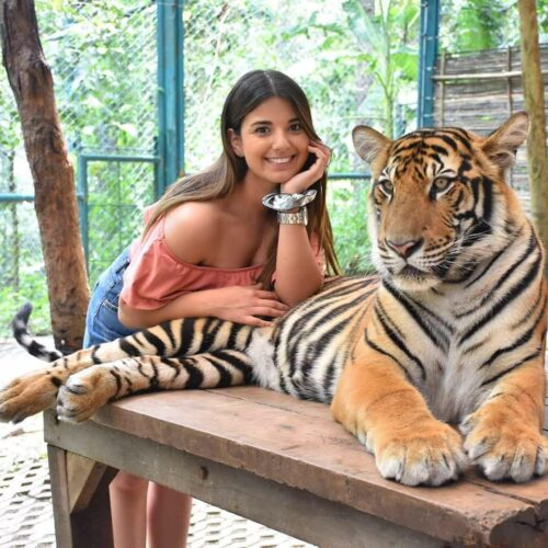 5e6db2368b3db870af6973b3dd2cddf1 5e6db2368b3db870af6973b3dd2cddf1