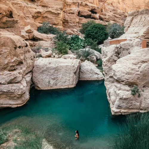 63e75b_1c175331c6ee4f37ad836a31fb85bf15mv2-500x500-1 63e75b_1c175331c6ee4f37ad836a31fb85bf15mv2-500x500-1