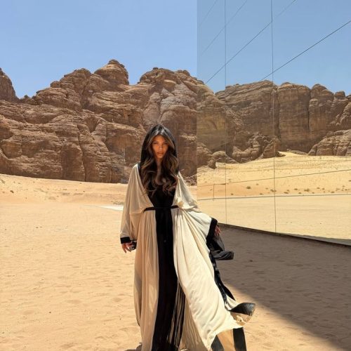 6d5a0c01475d6310042cd27c6ad6f5a9-500x500 6d5a0c01475d6310042cd27c6ad6f5a9-500x500