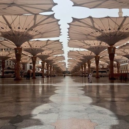 6ea4ea0216accc07dda13efdcd8a2515-500x500 6ea4ea0216accc07dda13efdcd8a2515-500x500