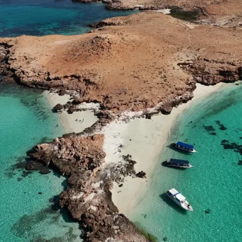 73DED2F5-CD7D-4CA5-BB0B-05380552054E-500x500 73DED2F5-CD7D-4CA5-BB0B-05380552054E-500x500