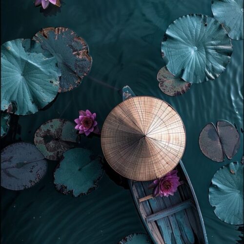 74eab4c04d052ac015dbae7ee5f20e98-721x1024 74eab4c04d052ac015dbae7ee5f20e98-721x1024