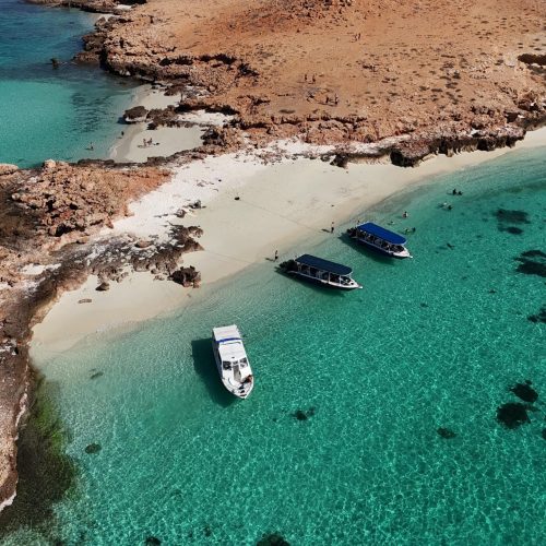 760C9DCD-8BAF-428C-A452-CD69E5A2FCD4-scaled-500x500 760C9DCD-8BAF-428C-A452-CD69E5A2FCD4-scaled-500x500