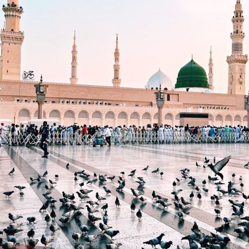 76475fa6041f4a69dc008c1e0e68aedc-500x500 76475fa6041f4a69dc008c1e0e68aedc-500x500