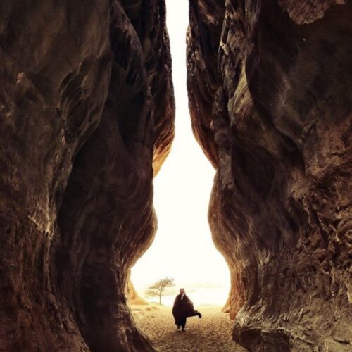 7da49d7f87a7ee691d93bfdcd6f7ec07-702x1024 7da49d7f87a7ee691d93bfdcd6f7ec07-702x1024