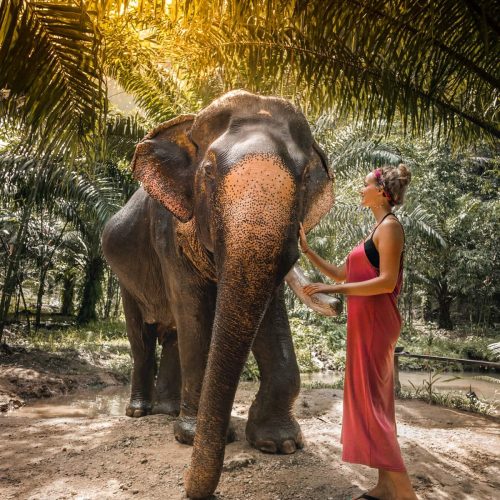 821459131e7da9820321bd5ba655a566-500x500 821459131e7da9820321bd5ba655a566-500x500