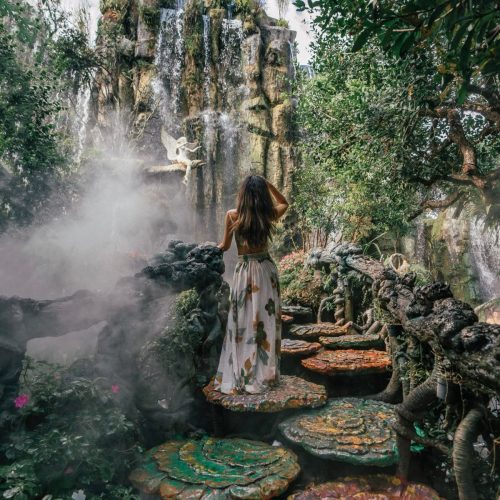 88f7489b632d074d3e042ac62f363935-500x500 88f7489b632d074d3e042ac62f363935-500x500